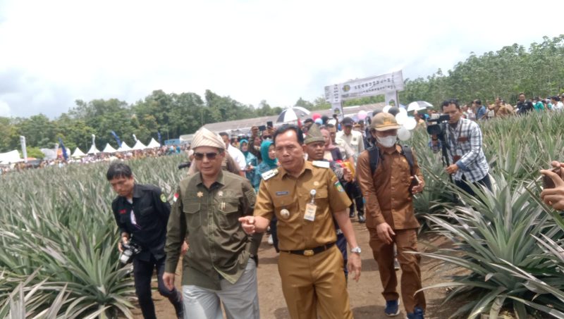 Wali Kota Prabumulih Ir H Ridho Yahya MM saat mendampingi Wakil Menteri Pertanian RI, Ir Harvick saat kunjungan kerja ke Kota Prabumulih, Selasa (21/2/2023)