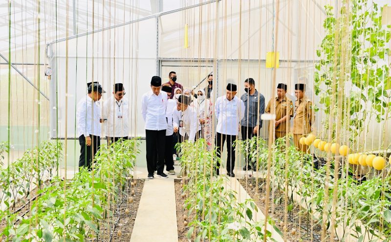 Presiden Jokowi meninjau hasil pertanian di Ponpes Al-Ittifaq, Kabupaten Bandung, Jawa Barat, Senin (06/03/2023). (Foto: BPMI Setpres)