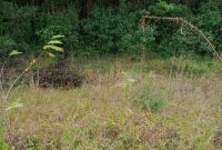 PT Pertamina Regional 1 - Sumatera Zona 4 lakukan upaya optimal atas kejadian kebocoran pipa di Kebun Duren, Kecamatan Prabumulih