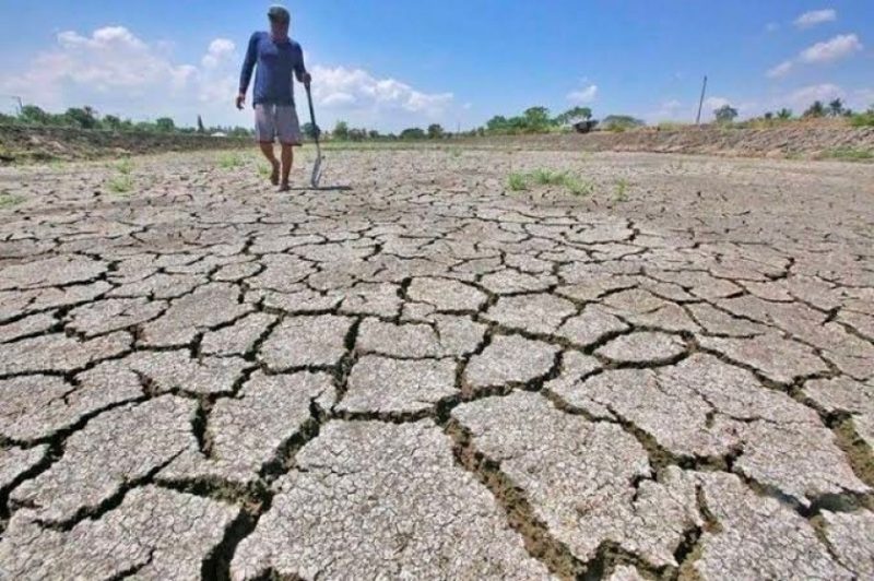 Foto: ilustrasi kekeringan