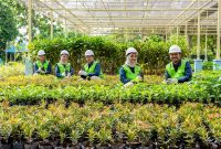 Langkah PT Bukit Asam Tbk dengan komitmen kuatnya dalam pengurangan emisi. 