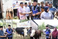 Gubernur Sumsel H Herman Deru menyerahkan bantuan Sapi ke sejumlah masjid di Sumsel, Rabu 28 Juni 2023 siang. Momen ini dimanfaatkannya untuk berbagi bersama seluruh masyarakat yang membutuhkan. 