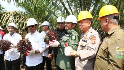 Gubernur Herman Deru Dampingi Mentan RI Panen PSR Terbesar di Indonesia