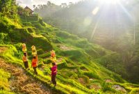 Keindahan alam di Ubud Bali(Shutterstock/CherylRamalho)