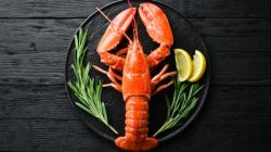 Ini Kandungan Nutrisi serta Manfaat Lobster