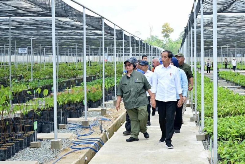 Presiden Jokowi saat meninjau Persemaian Mentawir di Kabupaten Penajam Paser Utara, Kalimantan Timur pada Kamis (21/09/2023). (Foto:BPMI Setpres)