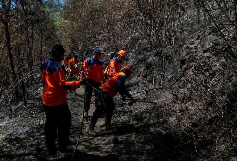 Petugas memadamkan sisa karhutla kawasan Gunung Bromo, Malang, Jawa Timur, Selasa (12/9/2023)