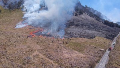 Kebakaran, Wisata Taman Nasional Bromo Tengger Ditutup Total