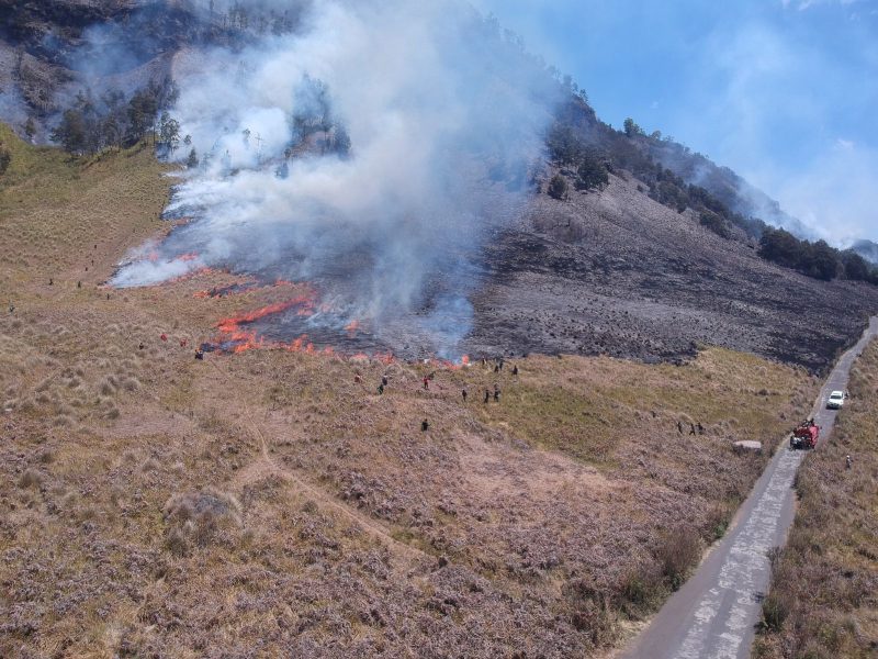 Kebakaran dalam kawasan Taman Nasional Bromo Tengger Semeru