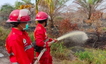 sumber foto: KLHK