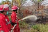 Tim Manggala Agni KLHK melakukan pemadaman karhutla di salah satu daerah di Indonesia (Foto: Dok. KLHK)