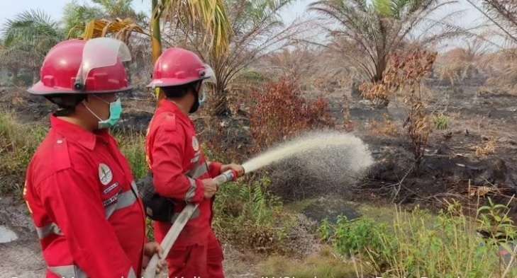 Tim Manggala Agni  KLHK melakukan pemadaman karhutla di salah satu daerah di Indonesia (Foto: Dok. KLHK)
