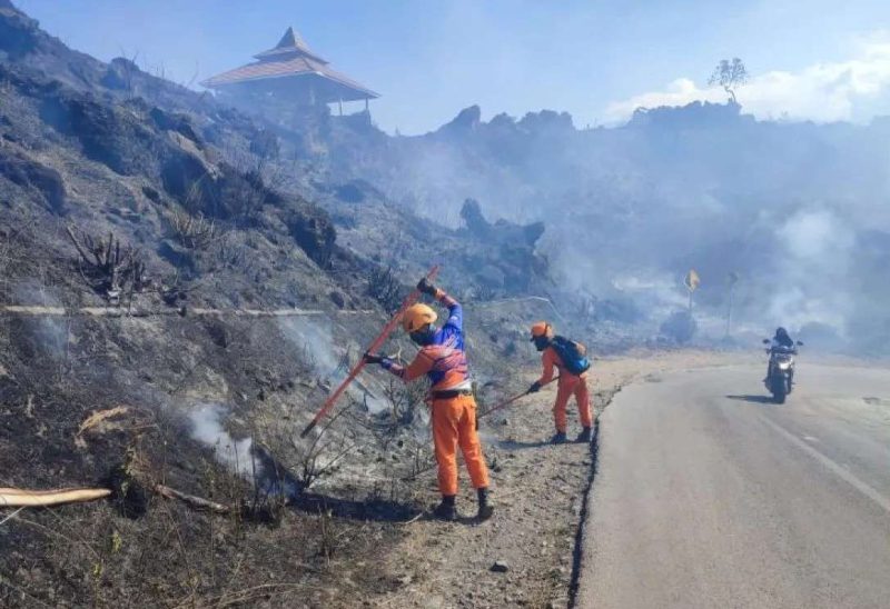 Petugas BPBD Tengah Memadamkan Api di Kawasan Gunung Ijen