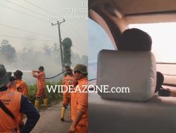 Sebaran Karhutla Memprihatinkan, Api Kembali Sambar Lahan di Ogan Ilir: Kabut Asap Bahayakan Pengendara