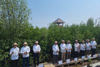 PT Bukit Asam Tbk (PTBA) turut serta dalam Aksi Tanam Mangrove dalam Kerja Bersama Hijaukan Indonesia yang digelar Kementerian Koordinator Bidang Kemaritiman dan Investasi (Kemenko Marves) dalam rangka memperingati Hari Mangrove Sedunia dan Hari Ulang Tahun (HUT) ke-78 Kemerdekaan Indonesia. 