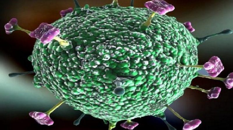 Foto: ilustrasi Virus Nipah