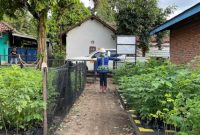 Berkolaborasi dengan PT Bukit Asam Tbk (PTBA), Febri dan 44 anggota di bawah naungan Badan Usaha Milik Desa (BUMDes) Keban Agung menjalankan Program Eco Agrotomation.