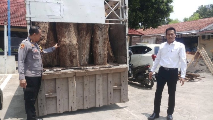 Polres Batang, Polda Jateng, berhasil menyita 65 batang kayu jati ilegal