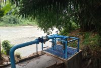 Para petani di Desa Karang Raja, Muara Enim, tetap pergi ke sawah meski kemarau panjang melanda. Sawah-sawah tetap basah dan hamparan padi menghijau.