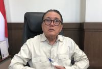Staf Khusus Menteri ESDM Bidang Percepatan Tata Kelola Mineral dan Batubara Irwandy Arif