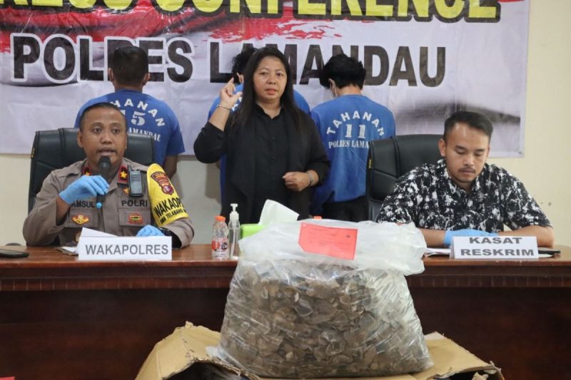 Polres Lamandau berhasil mengamankan sindikat perdagangan 233Kg trenggiling ilegal