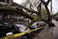 
Sebuah pohon tumbang menimpa sebuah mobil (sumber foto: AP)