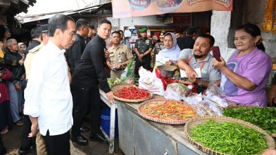 Presiden Jokowi Cek Harga Bahan Pokok di Pasar Mungkid Magelang