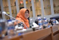 Wakil Ketua Komisi IX DPR RI Kurniasih Mufidayati