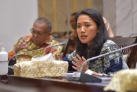 Anggota Komisi XI DPR RI Puteri Komarudin