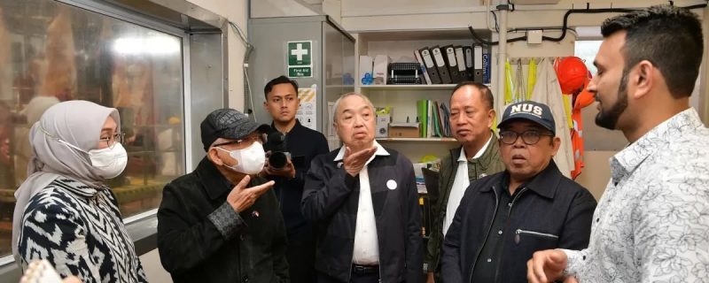 Wapres RI KH Ma'ruf Amin saat meninjau proses penyembelihan sapi di Taylor Preston Limited, Ngauranga Gorge, Wellington, Selandia Baru, Kamis (29/02/2024)