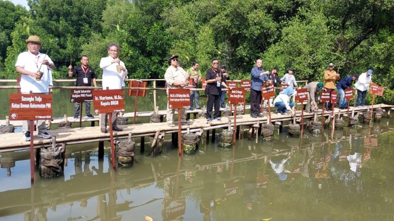 Menteri KLHK Siti Nurbaya Bakar dan Ketua Umum PWI Pusat Hendry Ch Bangun beserta Sekjen Sayid Iskandarsyah secara simbolis melakukan penanaman pohon mangrove di VIP Baru Taman Wisata Alam Angke Kapuk, Jakarta Utara, Sabtu (17/2/2024)