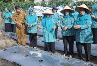 Ketua TP-PKK Kabupaten Asahan Hj Titiek Sugiharti Surya, Wakil Ketua I TP PKK Yusnila Indriati Taufik mengikuti gerakan tanam cabai serentak se-Indonesia yang di pimpin oleh Ibu Negara Iriana Joko Widodo bersama Istri Wakil Presiden Ma'ruf Amin Wury Estu Handayani, Senin 4 Maret 2024.