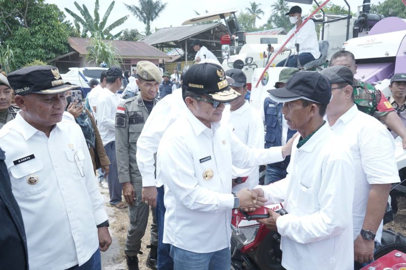 Bupati Asahan H Surya BSc mendampingi Penjabat (Pj) Gubernur Sumatera Utara (Gubsu) Hasanuddin melakukan penanaman cabai di Desa Serdang Kecamatan Meranti, Selasa 20 Februari 2024.