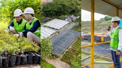 Komitmen Bukit Asam Jaga Lingkungan dengan Ragam Upaya Hadirkan Energi Bersih untuk Negeri