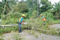 Tim PLN Unit Layanan Pelanggan [ULP] Ampera menggelar aksi Goeser [Gerakan Operasi Eksekusi Serentak] berdasarkan riskbase maintenance dengan melakukan pemangkasan ranting pohon yang mengganggu jaringan kabel PLN di wilayah kerja ULP Ampera, Kamis 9 Mei 2024.