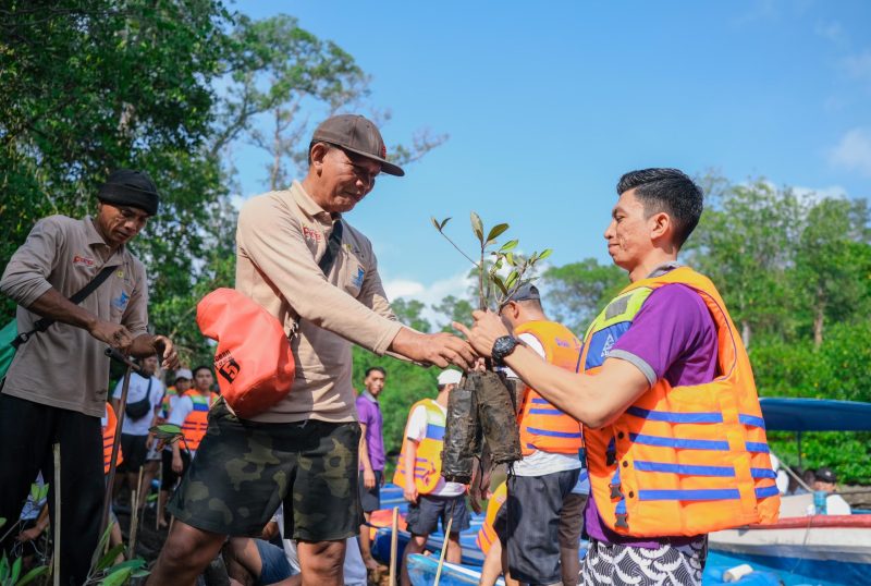 PT PLN (Persero) melalui subholding PLN Indonesia Power (PLN IP) sukses mengembangkan hutan mangrove sekitar pembangkit di pesisir Denpasar Bali.