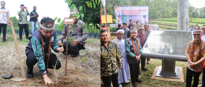 Seremonial Pelestarian Pohon Gaharu oleh PT Gotama Arifsyah Estate yang bekerja sama dengan Agarwood Word Gallery Singapore di Desa Langkan Kabupaten Banyuasin, Sumatera Selatan, Jumat 3 Mei 2024.