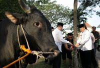 Sambut Hari Raya Idul Adha 1445 Hijriah, Penjabat (Pj) Gubernur Sumatera Selatan (Sumsel) meresmikan Gerakan Kurban Serentak se-Sumsel. Peresmian ini dilakukan di Masjid Agung Sultan Mahmud Badaruddin Jayo Wikramo Palembang, Sumatera Selatan, Minggu 16 Juni 2024.