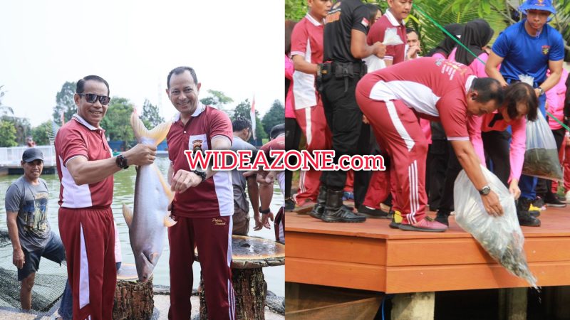 Dukung Misi Asta Cita, Polda Sumsel Panen Raya 2.5 Ton Ikan, Tebar Bibit Puluhan Ribu Ekor