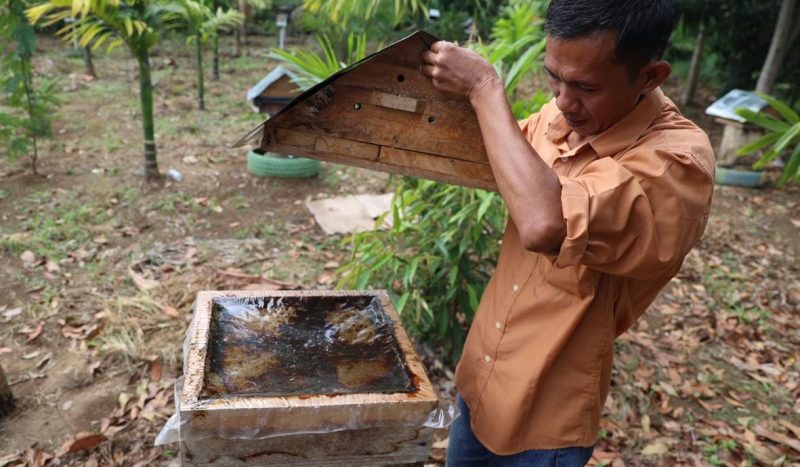 PT Bukit Asam Tbk [PTBA] menggelar pelatihan pengolahan madu, propolis, dan penanganan hama di Desa Embawang, Muara Enim, pada 9-10 Desember 2024.