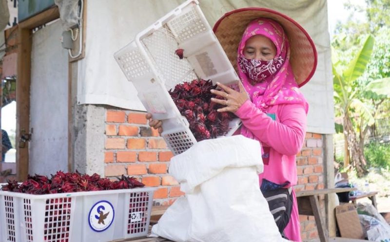 Para ibu rumah tangga yang tergabung dalam Sentra Industri Bukit Asam [SIBA] Rosella, salah satu Usaha Mikro dan Kecil [UMK] binaan PT Bukit Asam Tbk [PTBA].