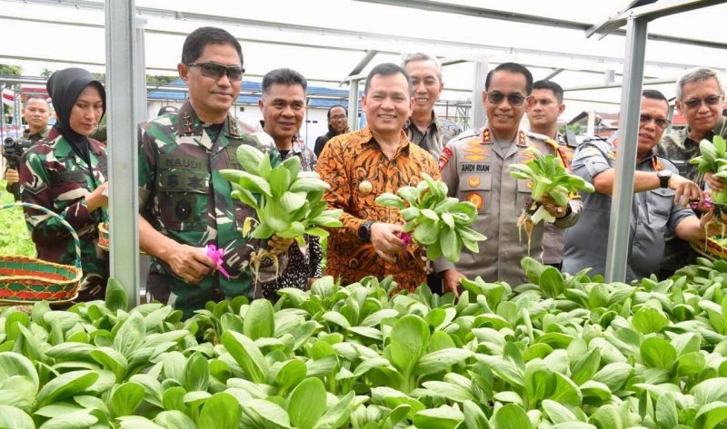 Penjabat (Pj) Gubernur Sumatera Selatan (Sumsel) Elen Setiadi SH MSE mengungkap sejumlah strategi telah dilakukan pihaknya untuk meningkatkan ketahanan pangan lokal diantaranya melalui program khusus optimalisasi lahan sawah rawa.