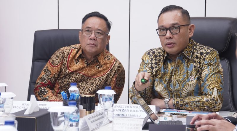 Wakil Gubernur Sumatera Selatan [Wagub Sumsel] H Cik Ujang melakukan audiensi dengan Wakil Menteri Investasi dan Hilirisasi/Wakil Kepala Badan Koordinasi Penanaman Modal Republik Indonesia [Wamen BKPM RI] Todotua Pasaribu, bertempat di Ruang Rapat Wakil Menteri Investasi RI Jakarta, Selasa 11 Maret 2025, siang.