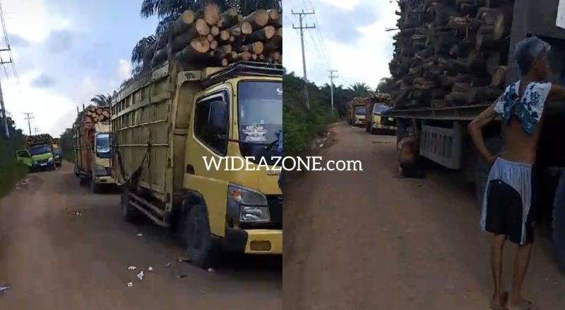 Kondisi pulahan supir truk terdampar, akibat akses masuk menuju PT Hijaiu Lestari Banyuasin diduga ditutup sejumlah preman.