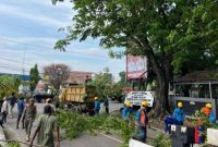 PLN Unit Layanan Pelanggan [ULP] Muara Enim terus memperkuat keandalan pasokan listrik bagi masyarakat dengan melaksanakan program Right of Way [ROW] bersama Dinas Perkimtan.