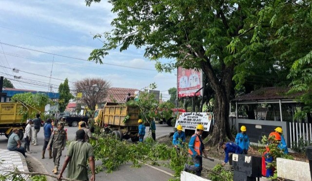 PLN Unit Layanan Pelanggan [ULP] Muara Enim terus memperkuat keandalan pasokan listrik bagi masyarakat dengan melaksanakan program Right of Way [ROW] bersama Dinas Perkimtan.