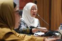 Ketua TP-PKK Sumsel yang juga Ketua Dekranasda Provinsi Sumsel, Hj Feby Deru