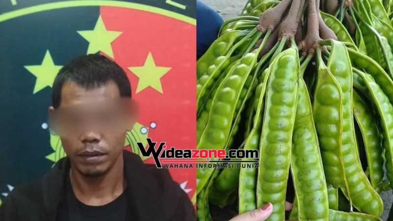 Soni ditangkap Polsek Sungai Keruh di Desa Kerta Jaya, Kecamatan Sungai Keruh, Musi Banyuasin [Muba], dalam waktu kurang dari 24 jam.
