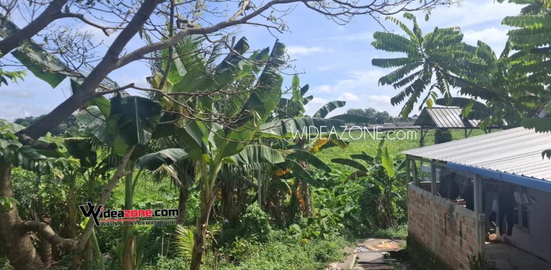 Kondisi area Kolam Retensi Simpang Bandara ditumbuhi rerumputan semak belukar, Selasa 16 Dessmber 2025. [Foto: AbV-WI]