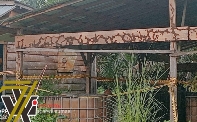 Mayat Pria dalam Penampungan Air Gegerkan Warga Bayung Lencir